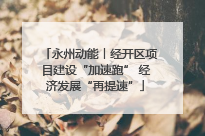 永州动能丨经开区项目建设“加速跑” 经济发展“再提速”